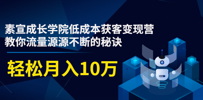 素宣成长学院低成本获客变现营，教你流量源源不断的秘诀，轻松月入10万-第一资源库