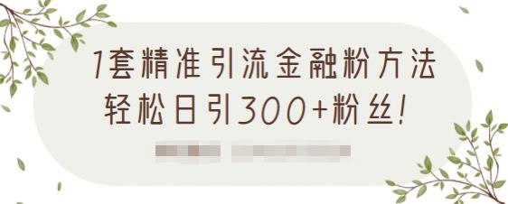 1套精准引流金融粉方法，轻松日引300+粉丝-第一资源库