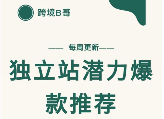 【跨境B哥】独立站潜力爆款选品推荐，测款出单率高达百分之80-第一资源库