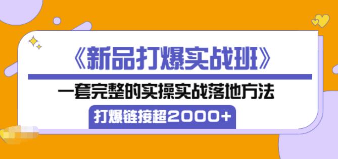 凌童《新品打爆实战班》,一套完整的实操实战落地方法，打爆链接超2000+（28节课)-第一资源库