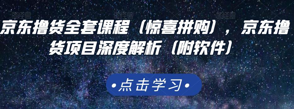 京东撸货全套课程（惊喜拼购），京东撸货项目深度解析（附软件）-第一资源库