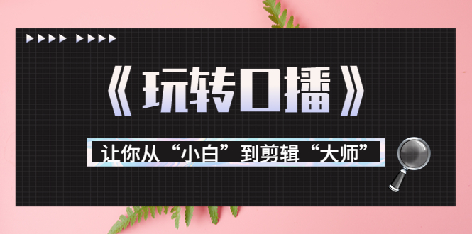 月营业额700万+大佬教您《玩转口播》让你从“小白”到剪辑“大师”-第一资源库