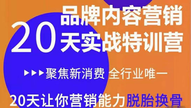 《内容营销实操特训营》20天让你营销能力脱胎换骨（价值3999）-第一资源库