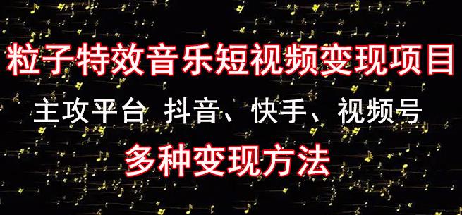 黄岛主《粒子特效音乐短视频变现项目》主攻平台抖音、快手、视频号多种变现方法-第一资源库