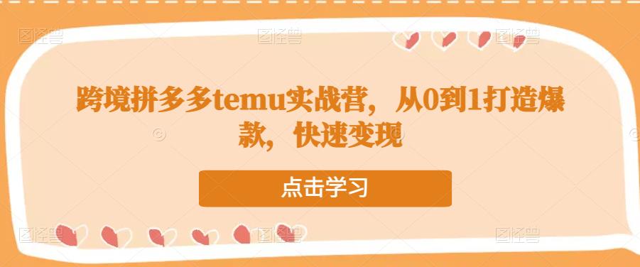 跨境拼多多temu实战营，从0到1打造爆款，快速变现-第一资源库