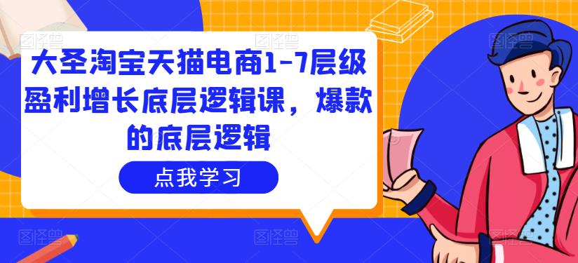 大圣淘宝天猫电商1-7层级盈利增长底层逻辑课，爆款的底层逻辑-第一资源库