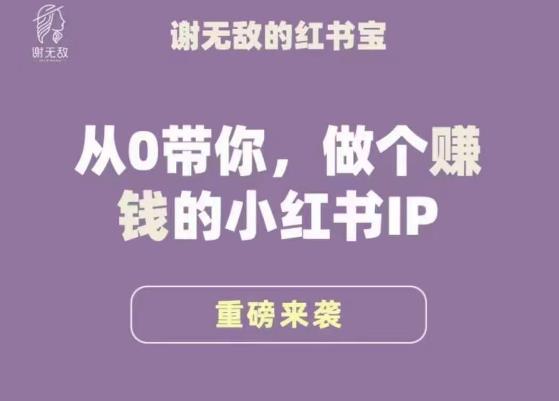 谢无敌·小红书运营大宝典，从0带你做个赚钱的小红书IP-第一资源库