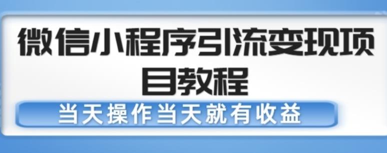 微信小程序引流变现项目教程，当天操作当天就有收益，变现不再是难事-第一资源库