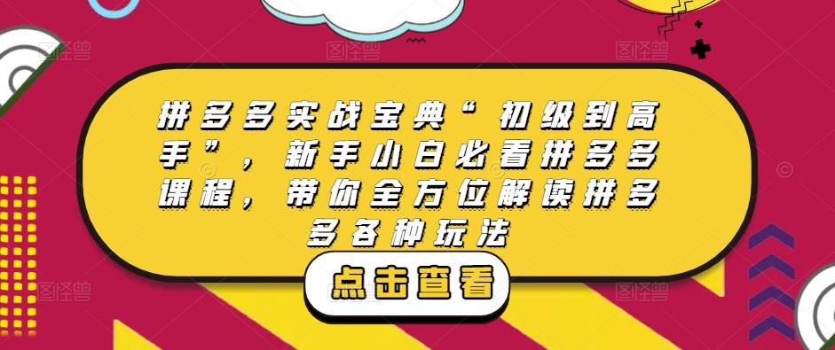 拼多多实战宝典“初级到高手”，新手小白必看拼多多课程，带你全方位解读拼多多各种玩法-第一资源库