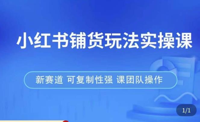 小红书铺货玩法实操课，流量大，竞争小，非常好做，新赛道，可复制性强，可团队操作-第一资源库