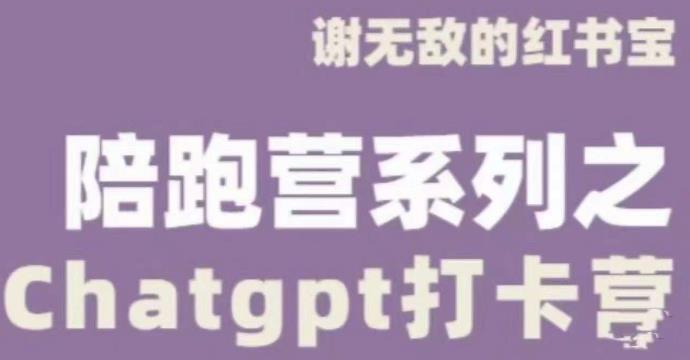 谢无敌ChatGPT打卡营，教你更好地使用ChatGPT来提高工作效率-第一资源库