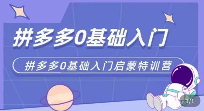 拼多多运营0-1实操特训营，拼多多0基础入门，从基础到进阶的可实操玩法-第一资源库