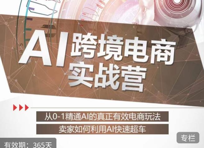 白龙老师·AI跨境电商实战营：从0-1精通Al的真正有效电商玩法，卖家如何利用Al快速超车-第一资源库