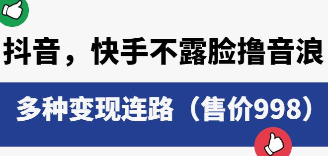 抖音快手不露脸撸音浪项目，多种变现连路（售价998）-第一资源库