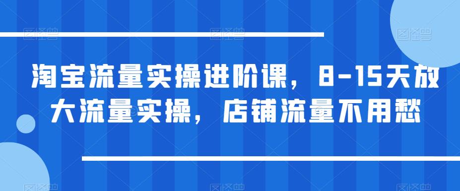 淘宝流量实操进阶课，8-15天放大流量实操，店铺流量不用愁-第一资源库