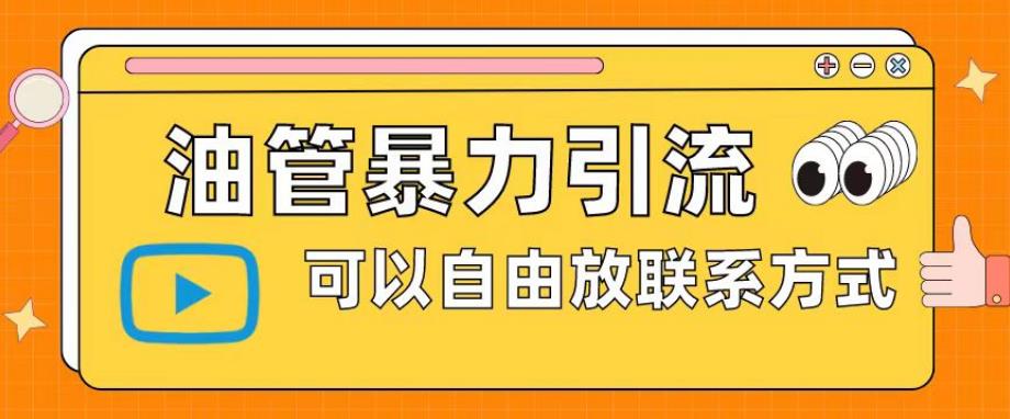 油管暴力引流，可以自由放联系方式【揭秘】-第一资源库