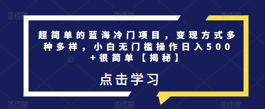 超简单的蓝海冷门项目，变现方式多种多样，小白无门槛操作日入500+很简单【揭秘】-第一资源库