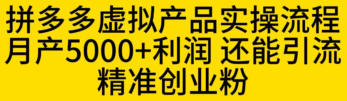 拼多多虚拟产品实操流程，月产5000+利润，还能引流精准创业粉【揭秘】-第一资源库