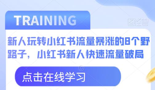 新人玩转小红书流量暴涨的8个野路子，小红书新人快速流量破局-第一资源库