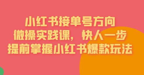 接单号方向·小红书微操实践课，快人一步，提前掌握小红书爆款玩法-第一资源库