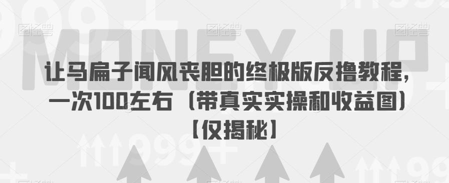 让马扁子闻风丧胆的终极版反撸教程，一次100左右（带真实实操和收益图）【仅揭秘】-第一资源库