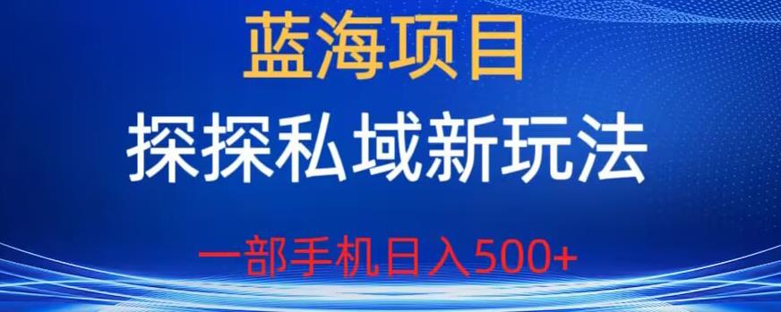 蓝海项目，探探私域新玩法，一部手机日入500+很轻松【揭秘】-第一资源库