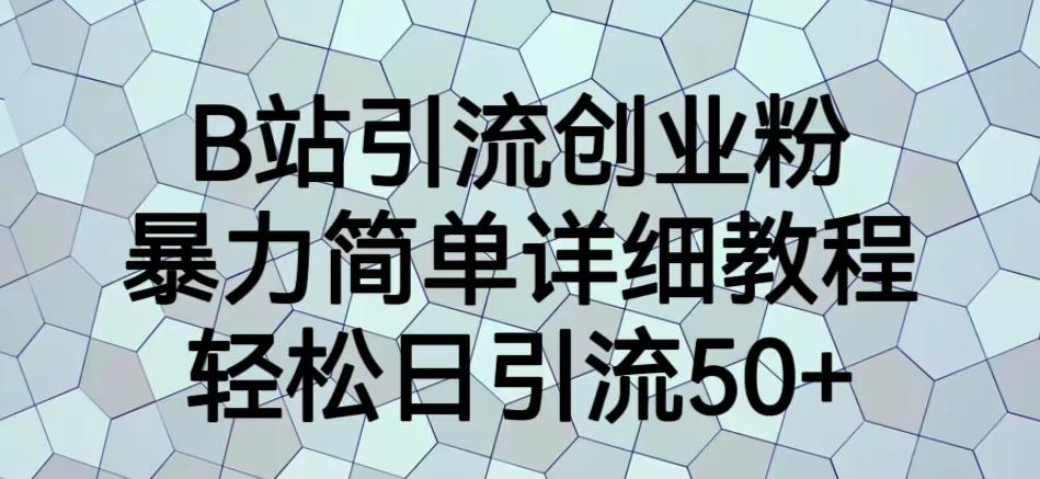 B站引流创业粉，暴力简单详细教程，轻松日引流50+【揭秘】-第一资源库