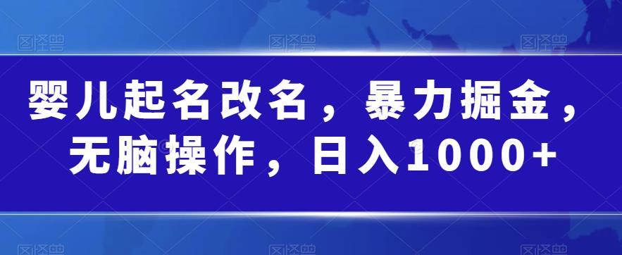 婴儿起名改名，暴力掘金，无脑操作，日入1000+【揭秘】-第一资源库