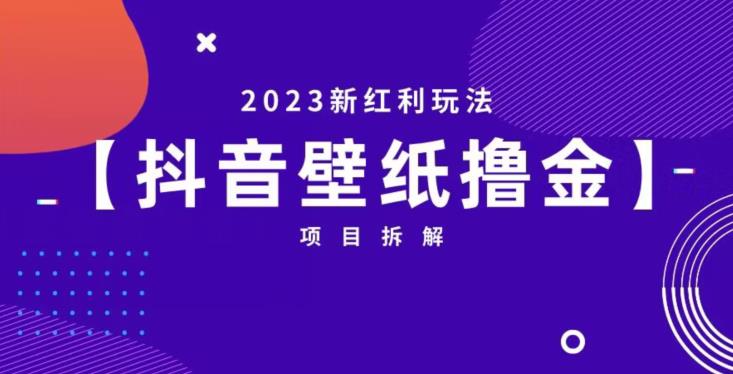 抖音壁纸小程序创作者撸金项目，2023新红利玩法【项目拆解】-第一资源库