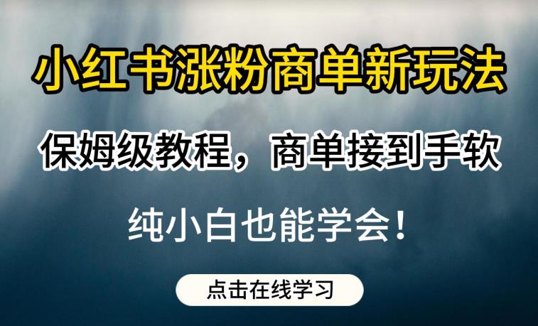 小红书涨粉商单新玩法，保姆级教程，商单接到手软，纯小白也能学会【揭秘】-第一资源库