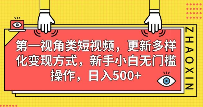 第一视角类短视频，更新多样化变现方式，新手小白无门槛操作，日入500+【揭秘】-第一资源库