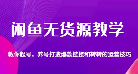 闲鱼无货源教学，教你起号，养号打造爆款链接以及转转的运营技巧-第一资源库