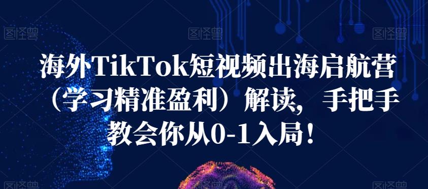 海外TikTok短视频出海启航营（学习精准盈利）解读，手把手教会你从0-1入局！-第一资源库