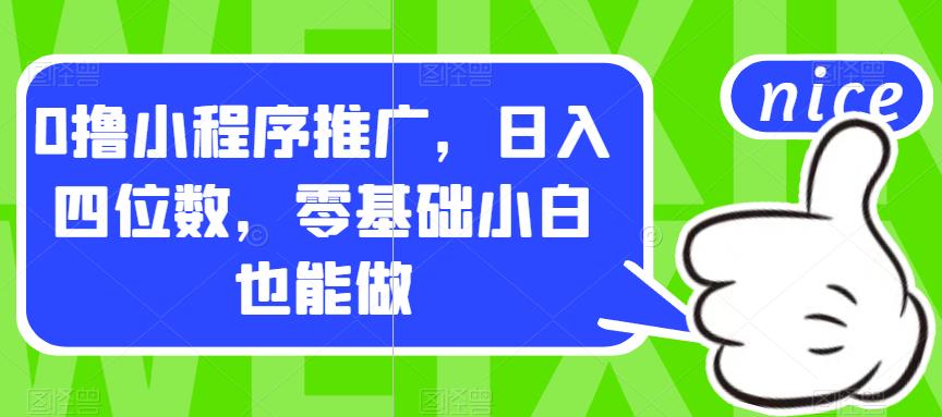 0撸小程序推广，日入四位数，零基础小白也能做【揭秘】-第一资源库