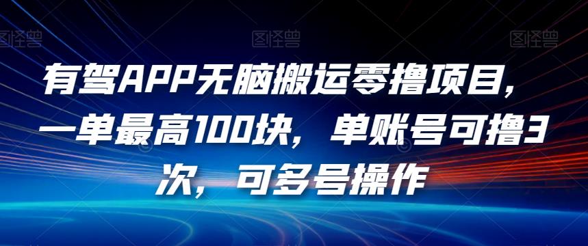 有驾APP无脑搬运零撸项目，一单最高100块，单账号可撸3次，可多号操作【揭秘】-第一资源库