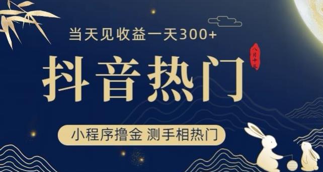 抖音最新小程序撸金，测手相上热门，当天见收益一小时变现300+【揭秘】-第一资源库