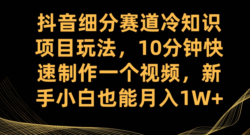 抖音细分赛道冷知识项目玩法，10分钟快速制作一个视频，新手小白也能月入1W+【揭秘】-第一资源库