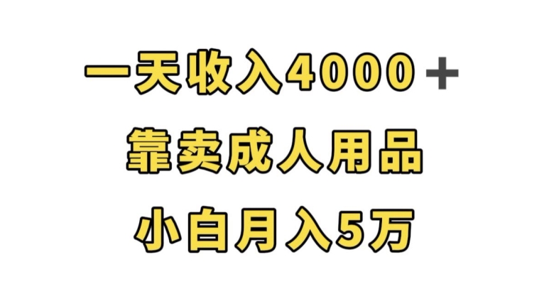 一天收入4000+，靠卖成人用品，小白轻松月入5万【揭秘】-第一资源库