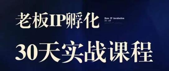 诸葛·2023老板IP实战课，实体同城引流获客，IP孵化必听-第一资源库