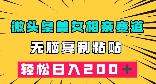 微头条冷门美女相亲赛道，无脑复制粘贴，轻松日入200＋【揭秘】-第一资源库