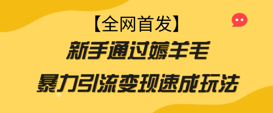 【全网首发】新手通过薅羊毛暴力引流变现速成玩法-第一资源库