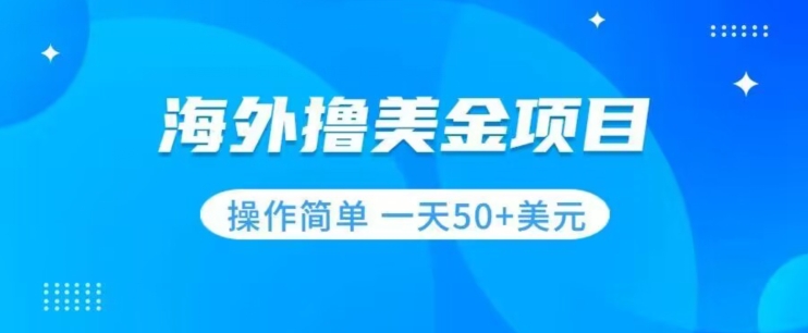 撸美金项目无门槛操作简单小白一天50+美刀-第一资源库