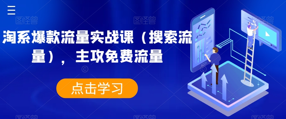 淘系爆款流量实战课（搜索流量），主攻免费流量-第一资源库