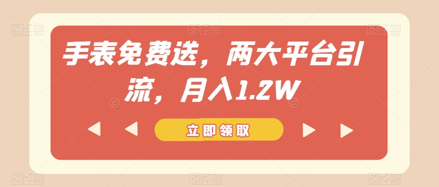 手表免费送，两大平台引流，月入1.2W【揭秘】-第一资源库