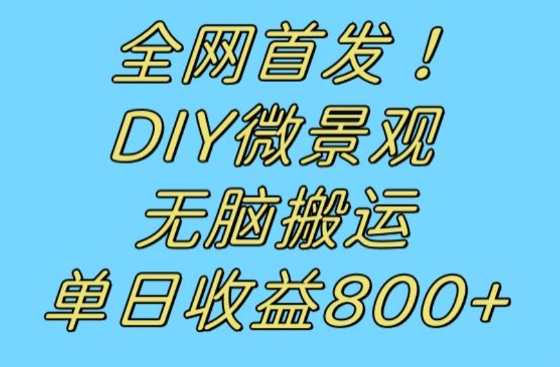 全网首发冷门赛道！DIY微景观，无脑搬运视频，日收益800+【揭秘】-第一资源库