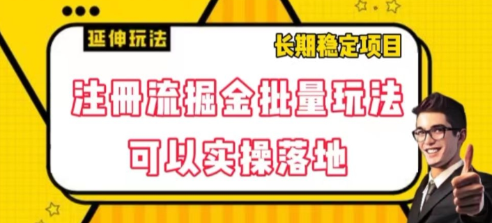 注册流掘金批量玩法，可以实操落地【揭秘】-第一资源库