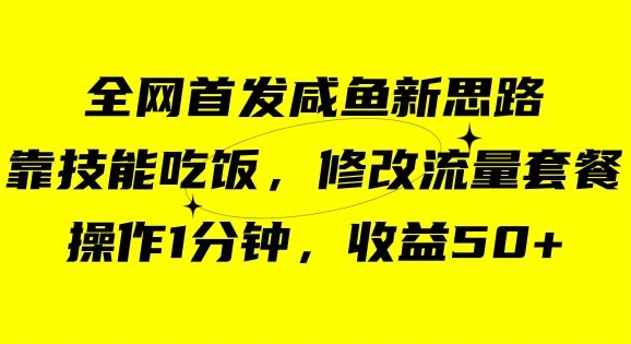 咸鱼冷门新玩法，靠“技能吃饭”，修改流量套餐，操作1分钟，收益50【揭秘】-第一资源库