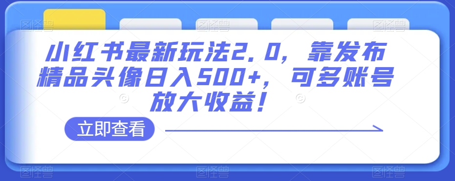 小红书最新玩法2.0，靠发布精品头像日入500+，可多账号放大收益！【揭秘】-第一资源库