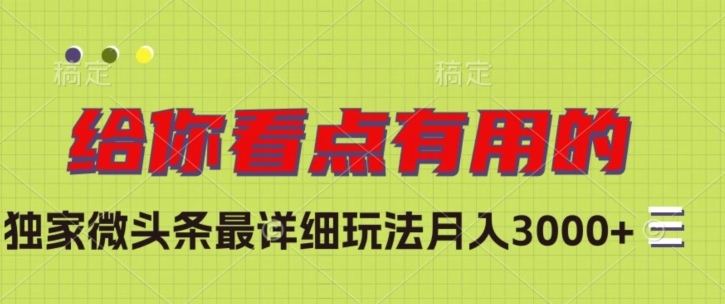 独家微头条最详细玩法，月入3000+【揭秘】-第一资源库