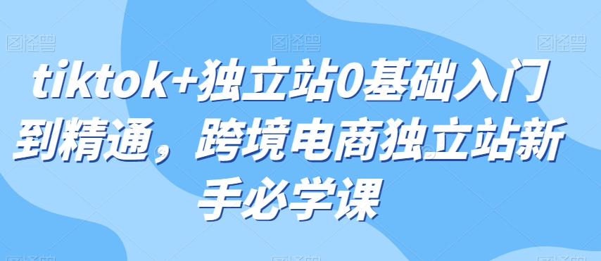 tiktok+独立站0基础入门到精通，跨境电商独立站新手必学课-第一资源库